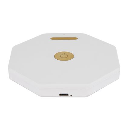 Globo - LED Punjiva dodirna prigušiva stolna lampa LED/1W/5V 2600/3500/4800K 800 mAh