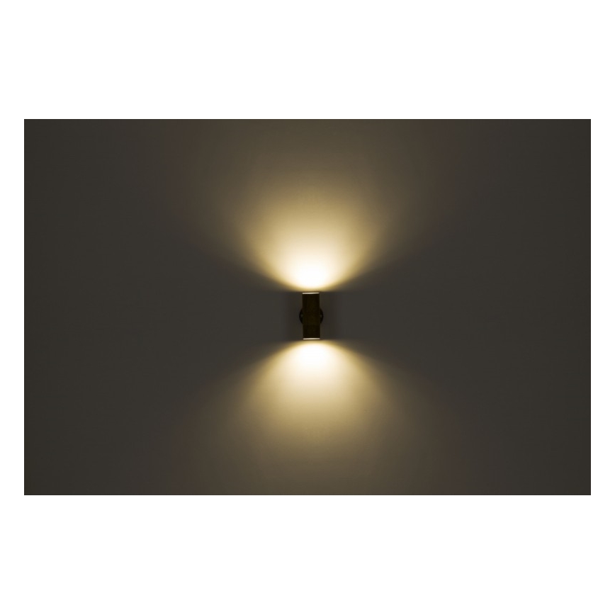 Globo - Vanjska zidna svjetiljka 2xGU10/35W/230V IP44