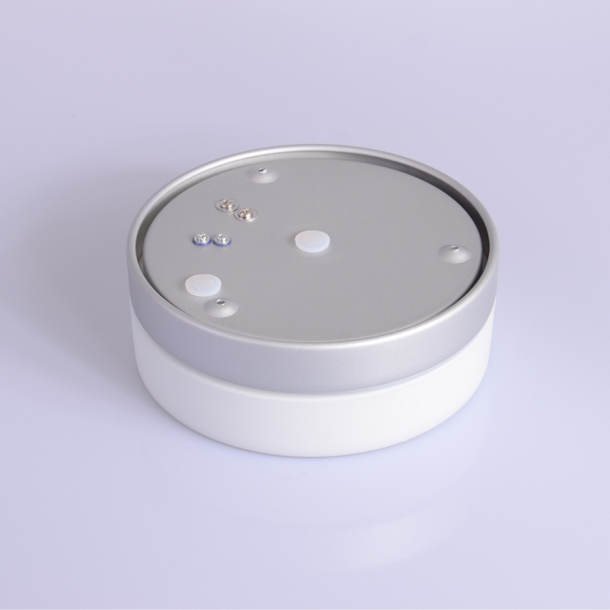 Globo - Svjetiljka za kupaonicu 1xE27/60W/230V pr. 18,4 cm IP44