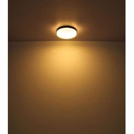 Globo - Svjetiljka za kupaonicu 1xE27/60W/230V pr. 18,4 cm IP44