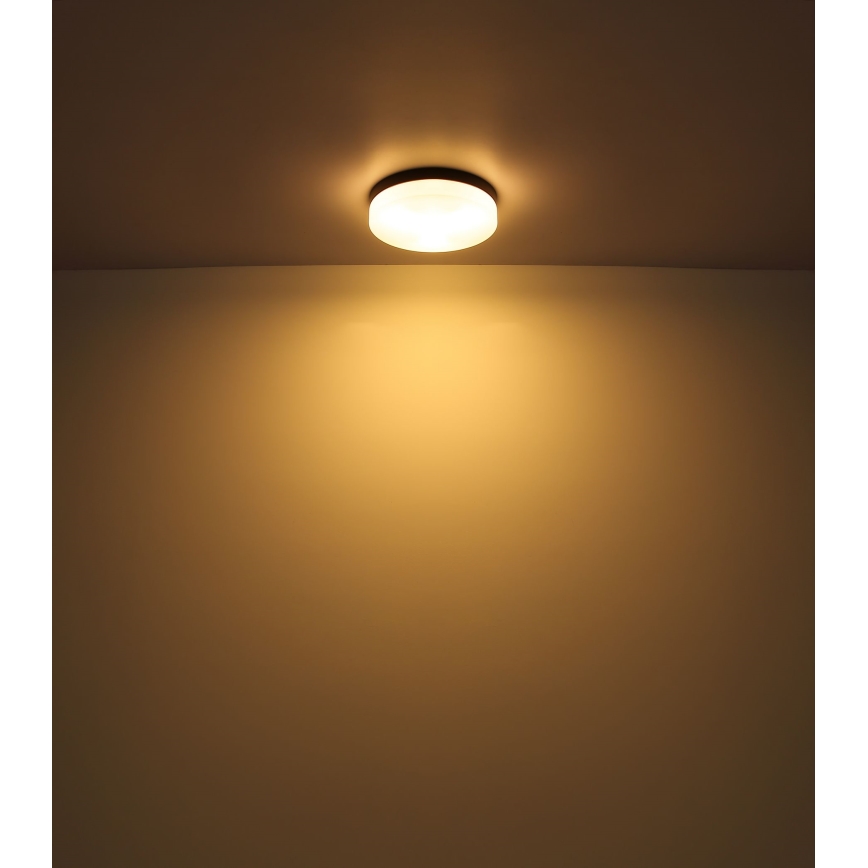 Globo - Svjetiljka za kupaonicu 1xE27/60W/230V pr. 18,4 cm IP44