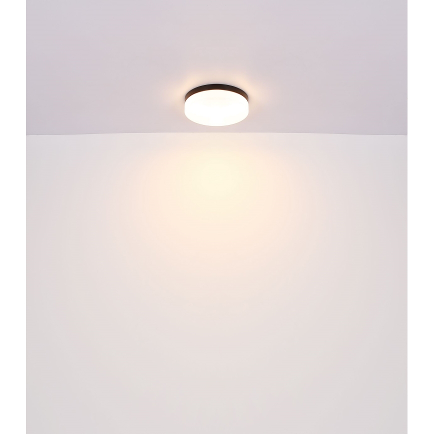 Globo - Svjetiljka za kupaonicu 1xE27/60W/230V pr. 18,4 cm IP44