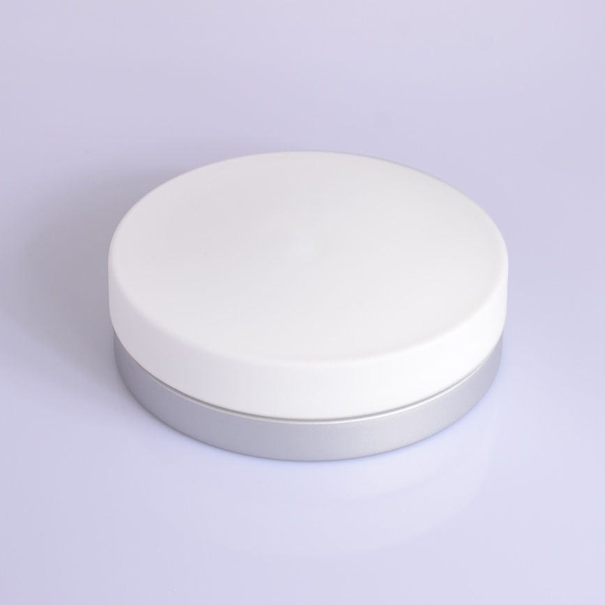 Globo - Svjetiljka za kupaonicu 2xE27/40W/230V pr. 24 cm IP44