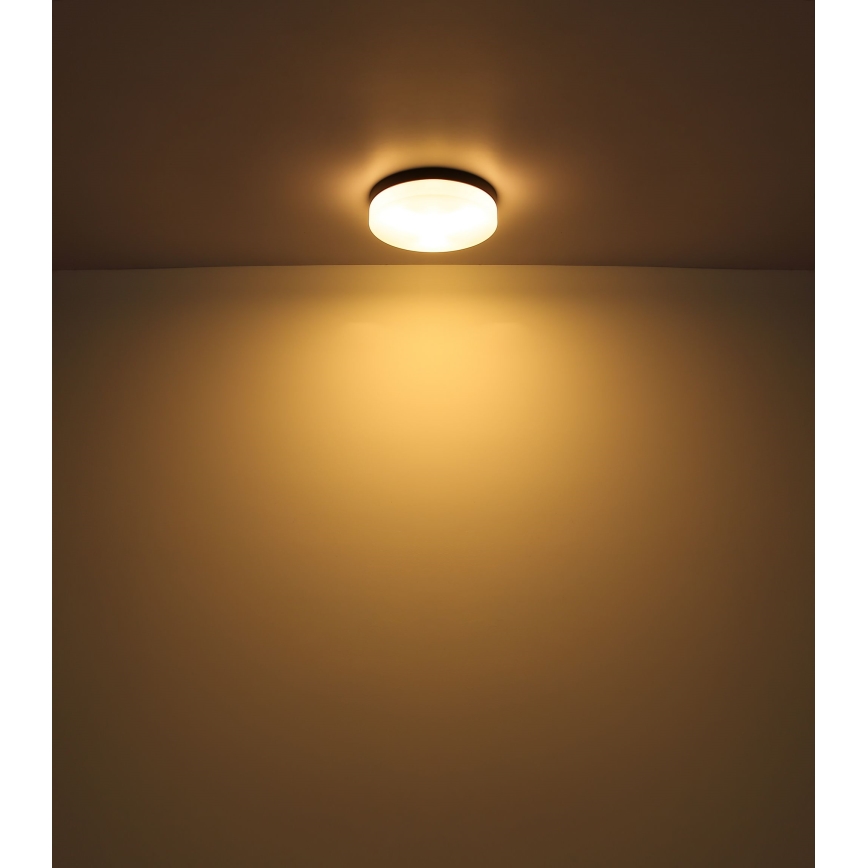 Globo - Svjetiljka za kupaonicu 2xE27/60W/230V pr. 24 cm IP44