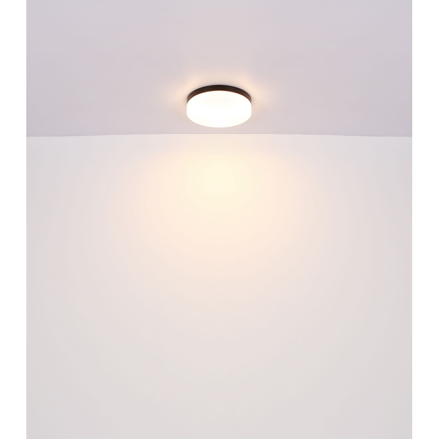 Globo - Svjetiljka za kupaonicu 2xE27/60W/230V pr. 24 cm IP44