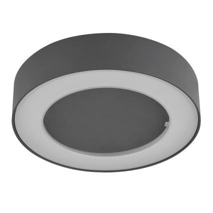 Globo - LED Vanjska stropna svjetiljka LED/12W/230V IP54