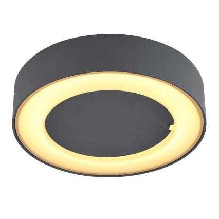 Globo - LED Vanjska stropna svjetiljka LED/12W/230V IP54