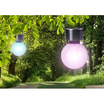 Globo - LED solarna svjetiljka LED/0,05W/1,2V IP44