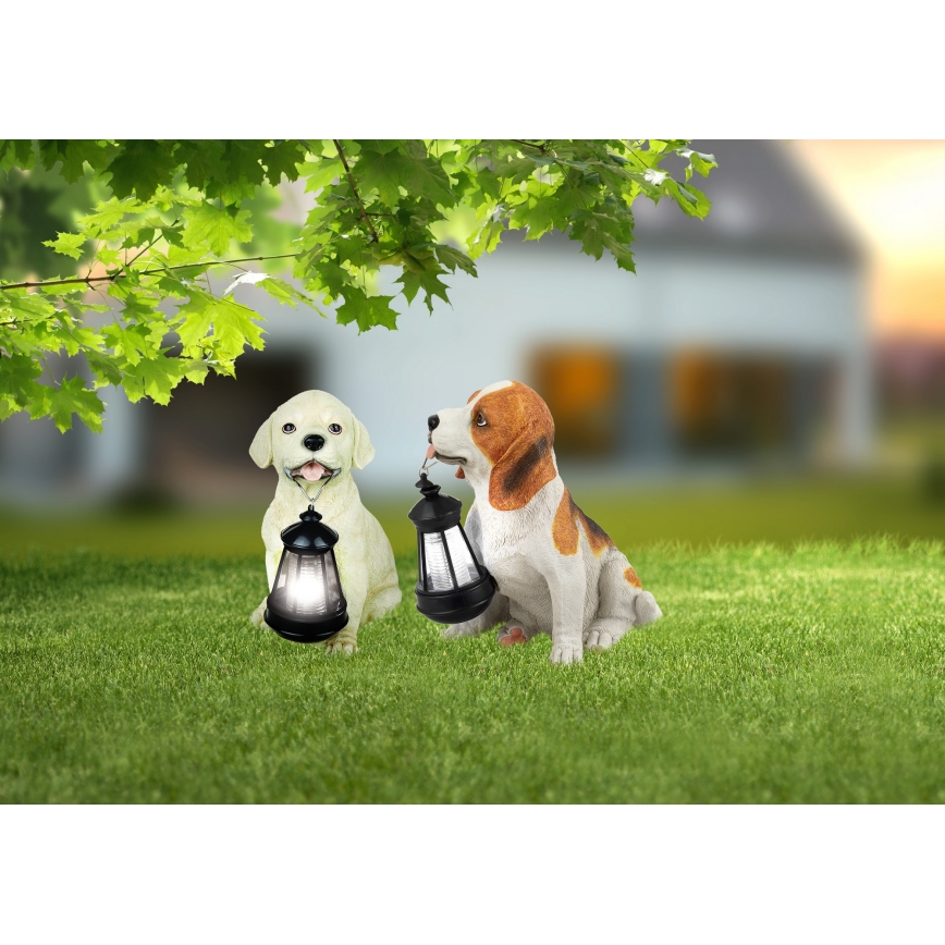 Globo - Solarna LED svjetiljka LED/0,06W/3V pas IP44 600 mAh