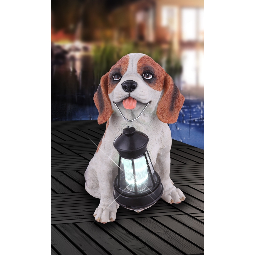 Globo - LED solarna svjetiljka LED/0,06W/3V IP44 600 mAh