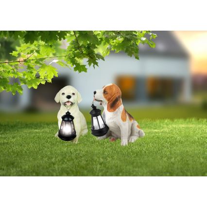 Globo - LED solarna svjetiljka LED/0,06W/3V IP44 600 mAh