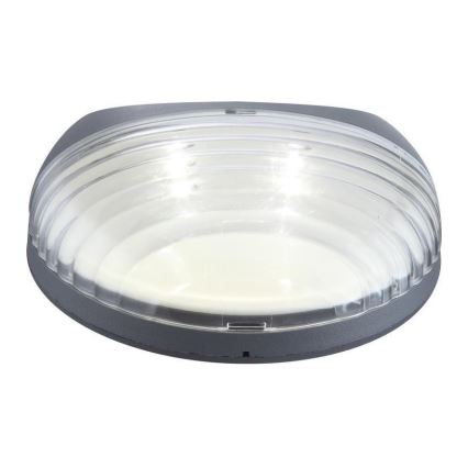 Globo - LED Solarna zidna svjetiljka 2xLED/0,06W/1,2V IP44 200 mAh