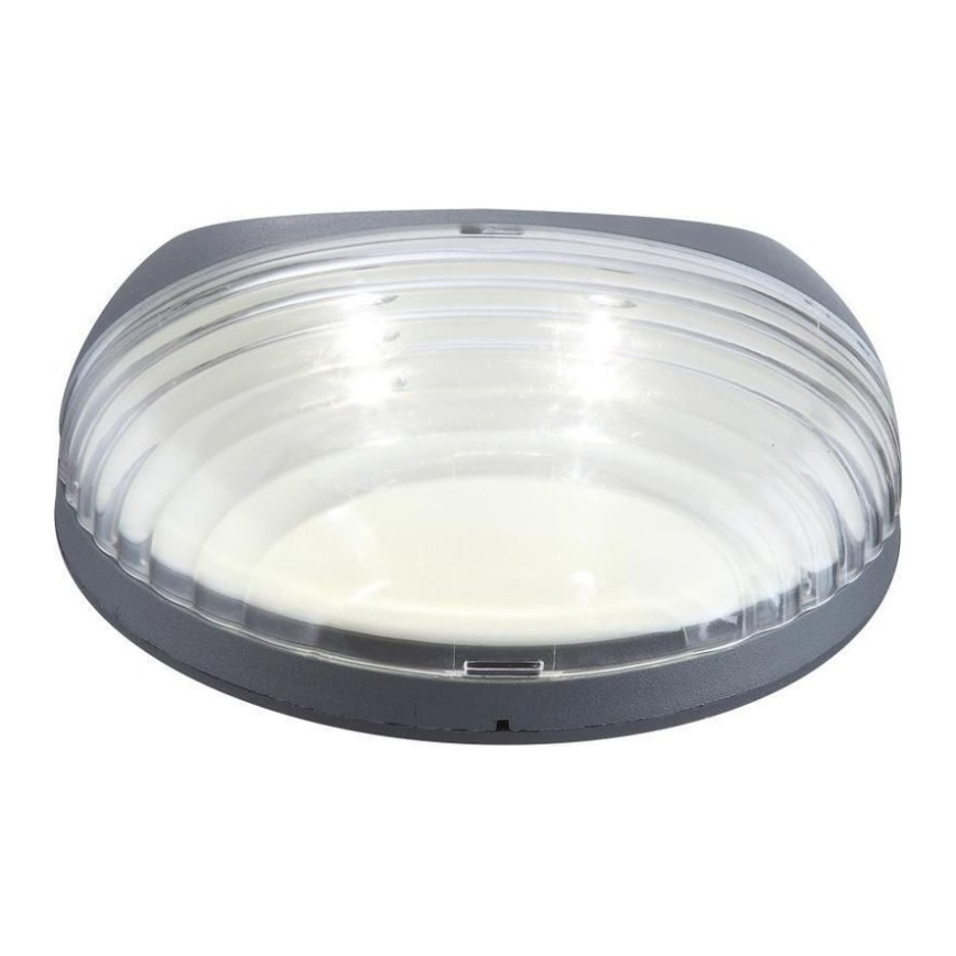 Globo - LED Solarna zidna svjetiljka 2xLED/0,06W/1,2V IP44 200 mAh