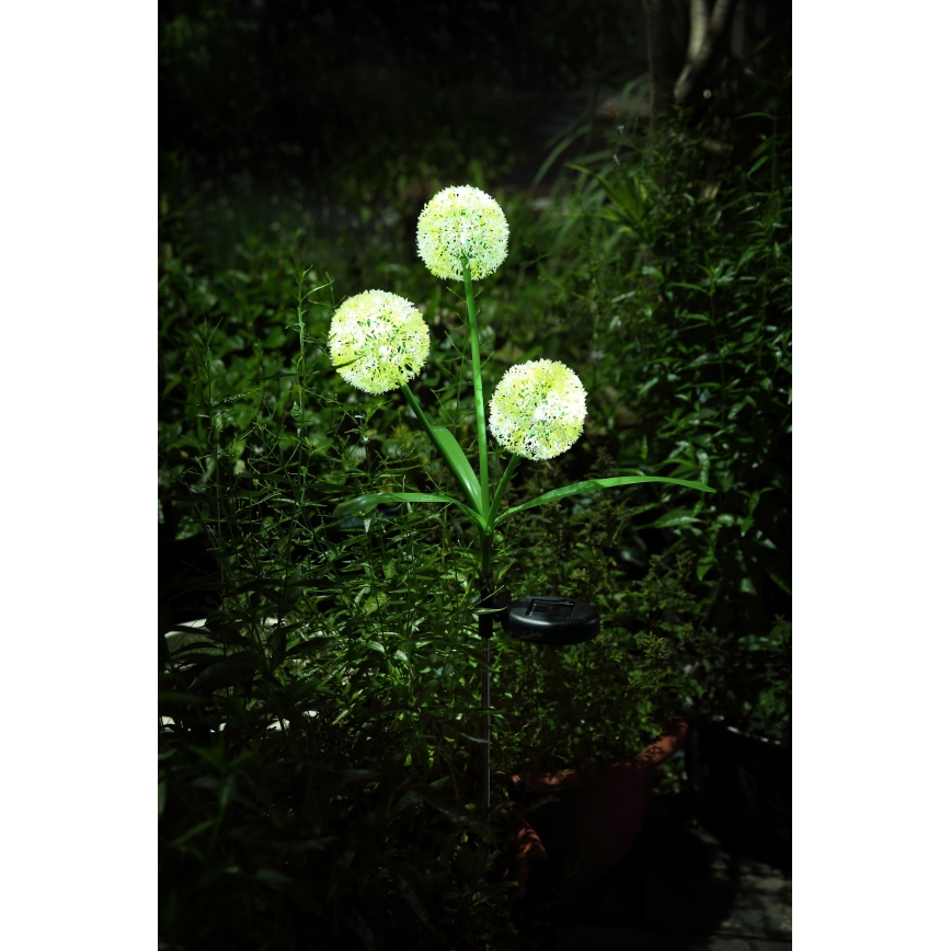 Globo  - LED Solarna svjetiljka 3xLED/0,06W/3V 5000K IP44 žuta