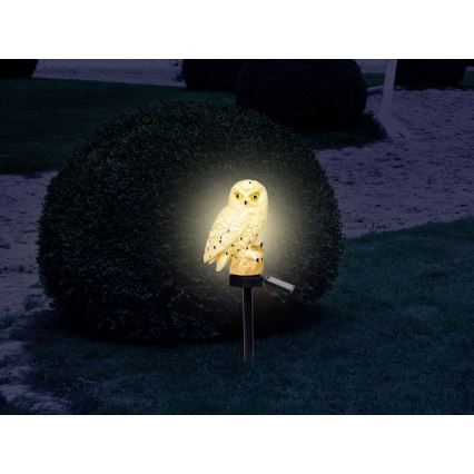 Globo - LED Solarna svjetiljka LED/0,06W/3V IP44 sova