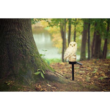 Globo - LED Solarna svjetiljka LED/0,06W/3V IP44 sova