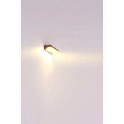 Globo - LED Vanjska zidna svjetiljka LED/20W/230V IP54