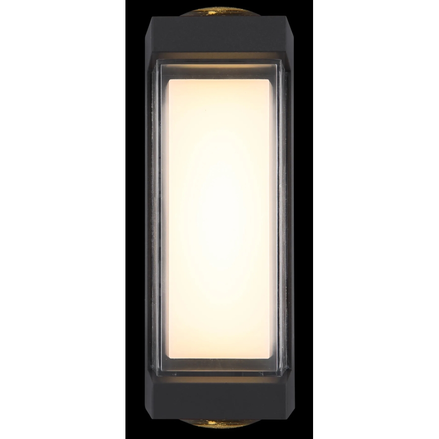 Globo - LED Vanjska zidna svjetiljka LED/12W/230V 3000K IP54 antracit