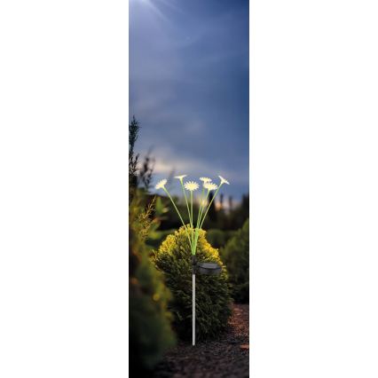 Globo - LED solarna svjetiljka 6xLED/3V IP44 600 mAh u obliku cvijeta