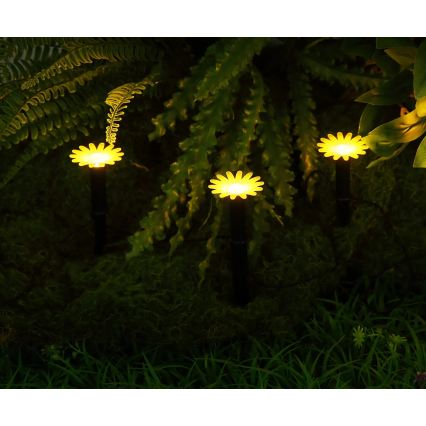 Globo - LED solarni lanac 5xLED/3V IP44 300 mAh 2,2 m cvjetovi