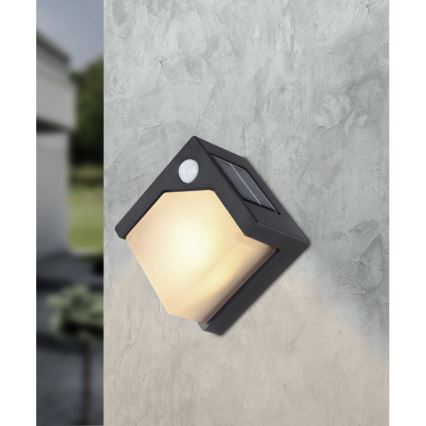 Globo - LED Solarna svjetiljka sa senzorom LED/0,48W/3V IP44 600 mAh