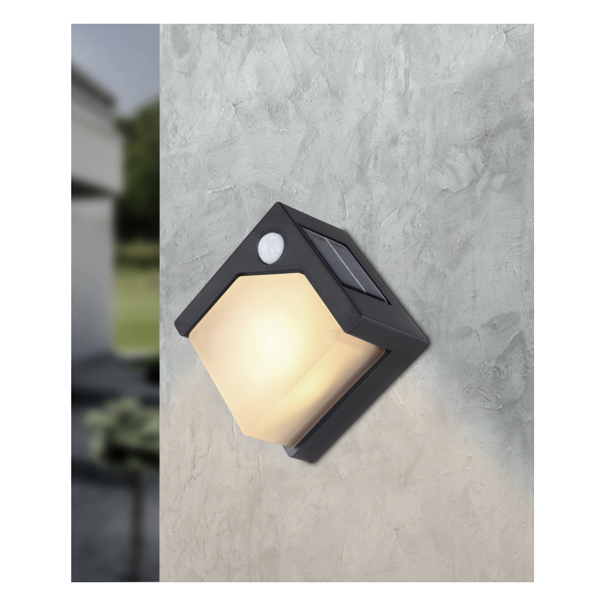 Globo - LED Solarna svjetiljka sa senzorom LED/0,48W/3V IP44 600 mAh
