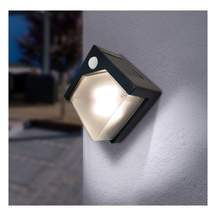 Globo - LED Solarna svjetiljka sa senzorom LED/0,48W/3V IP44 600 mAh