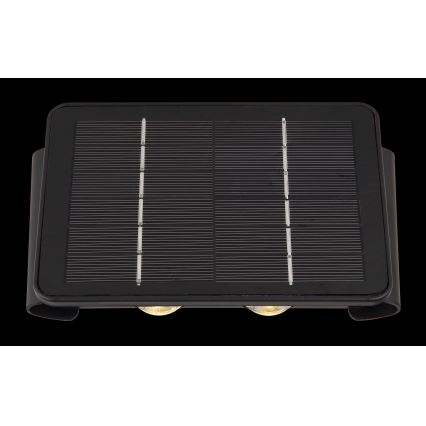 Globo - LED Solarna svjetiljka LED/1W/3,2V 3000K IP54