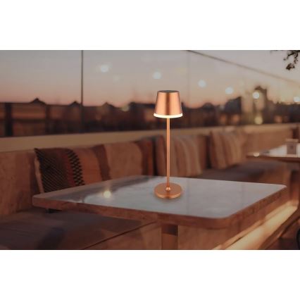 Globo - LED Solarna svjetiljka LED/0,6W/3V 3000K IP44 bakrena