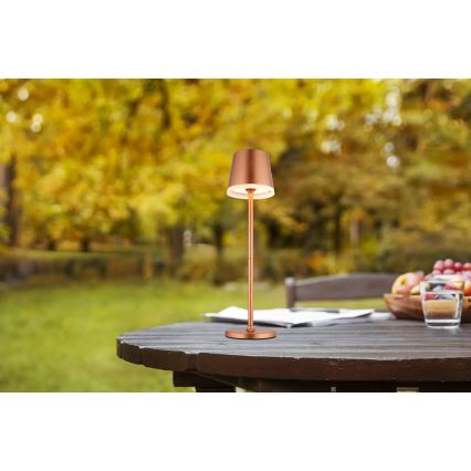 Globo - LED Solarna svjetiljka LED/0,6W/3V 3000K IP44 bakrena