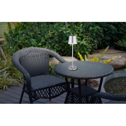 Globo - LED Solarna svjetiljka LED/0,6W/3V 3000K IP44 mat krom