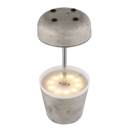 Globo - LED Solarna lampa 10xLED/0,06W/3V IP44 siva