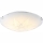 Globo 4041464 - LED stropna svjetiljka JOY I 1xLED/12W/230V