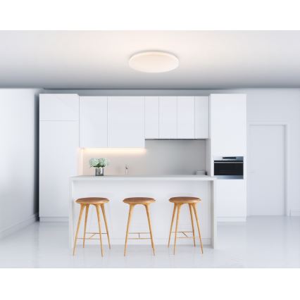 Globo - LED Stropna svjetiljka LED/20W/230V