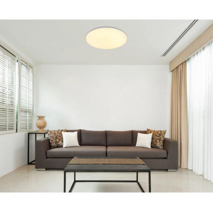 Globo - LED Stropna svjetiljka LED/24W/230V pr. 49,5 cm bijela