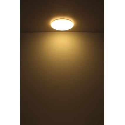 Globo - LED Stropna svjetiljka LED/24W/230V pr. 49,5 cm bijela