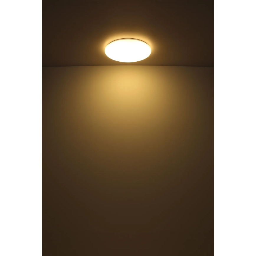 Globo - LED Stropna svjetiljka LED/24W/230V pr. 49,5 cm bijela