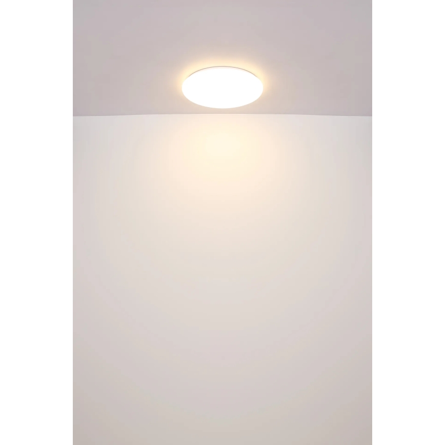 Globo - LED Stropna svjetiljka LED/24W/230V pr. 49,5 cm bijela