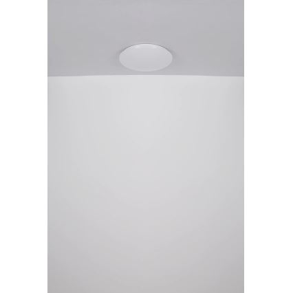 Globo - LED Stropna svjetiljka LED/24W/230V pr. 49,5 cm bijela