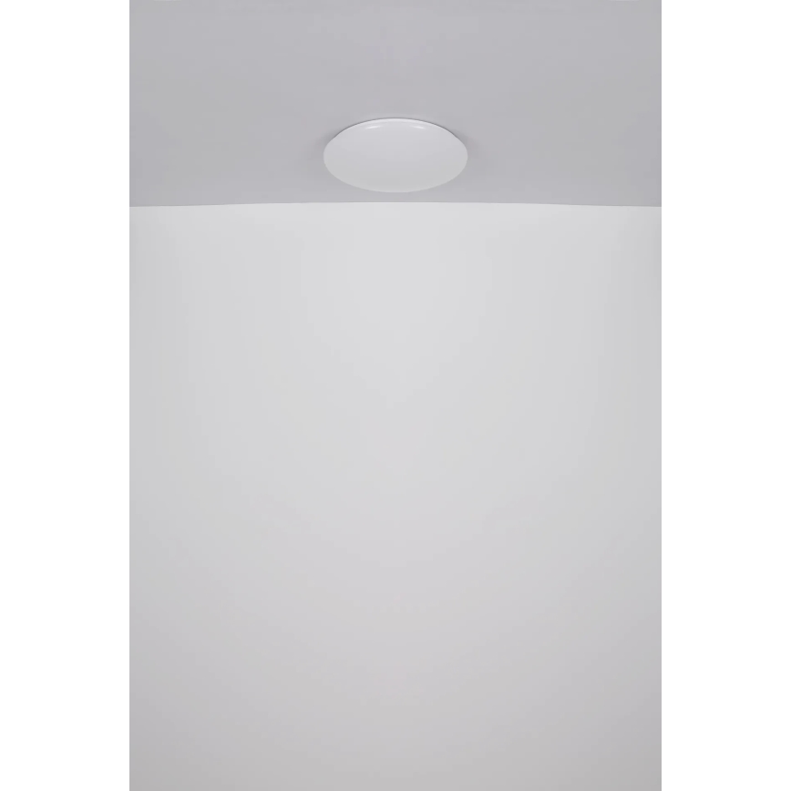 Globo - LED Stropna svjetiljka LED/24W/230V pr. 49,5 cm bijela