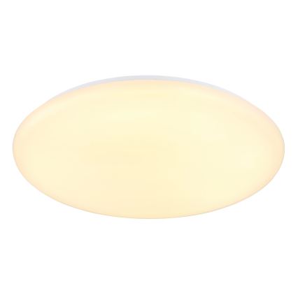 Globo - LED Stropna svjetiljka LED/24W/230V pr. 49,5 cm bijela