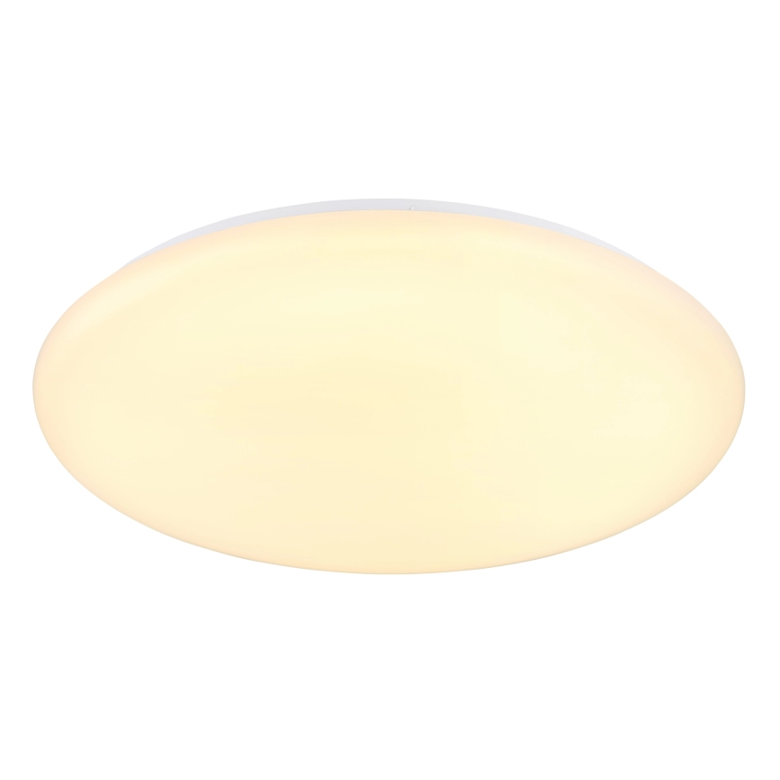 Globo - LED Stropna svjetiljka LED/24W/230V pr. 49,5 cm bijela