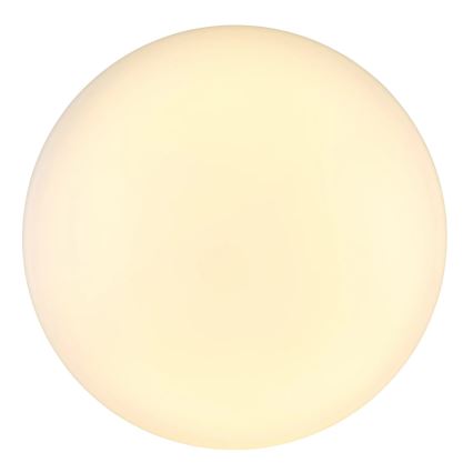 Globo - LED Stropna svjetiljka LED/24W/230V pr. 49,5 cm bijela