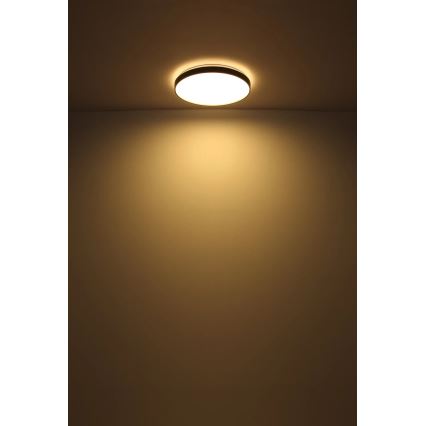 Globo - LED Stropna svjetiljka LED/24W/230V pr. 48 cm antracit