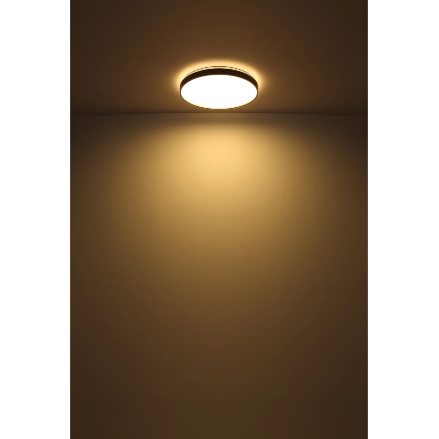 Globo - LED Stropna svjetiljka LED/24W/230V pr. 48 cm antracit