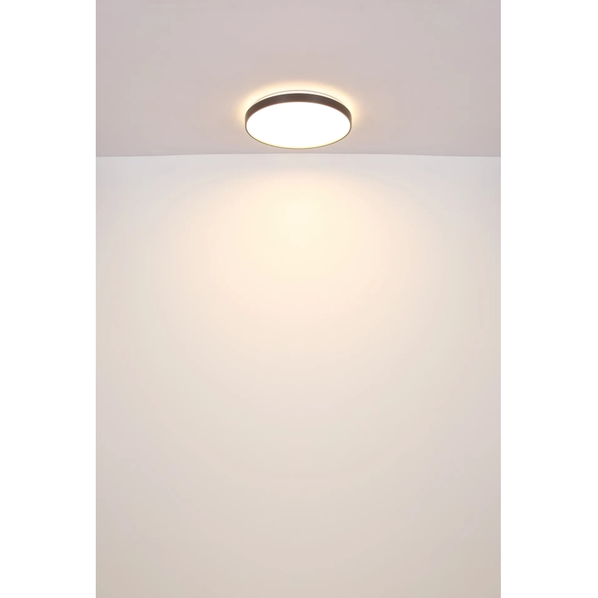 Globo - LED Stropna svjetiljka LED/24W/230V pr. 48 cm antracit