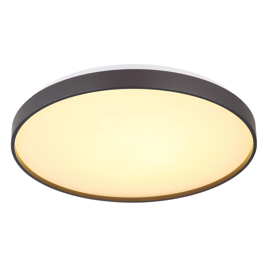 Globo - LED Stropna svjetiljka LED/24W/230V pr. 48 cm antracit