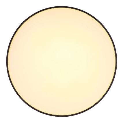 Globo - LED Stropna svjetiljka LED/24W/230V pr. 48 cm antracit