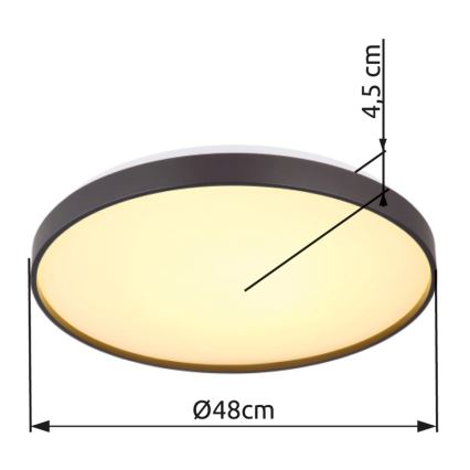 Globo - LED Stropna svjetiljka LED/24W/230V pr. 48 cm antracit