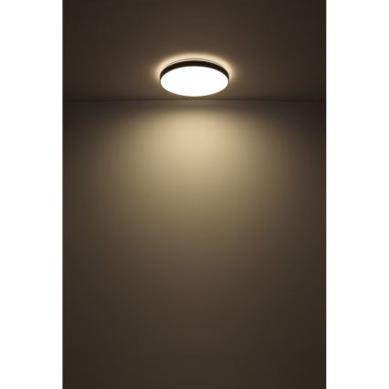 Globo - LED Stropna svjetiljka LED/24W/230V